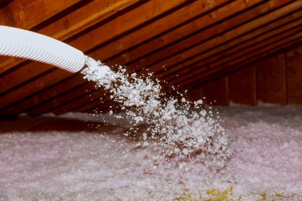 Best Fiberglass Insulation  in Northlake, TX