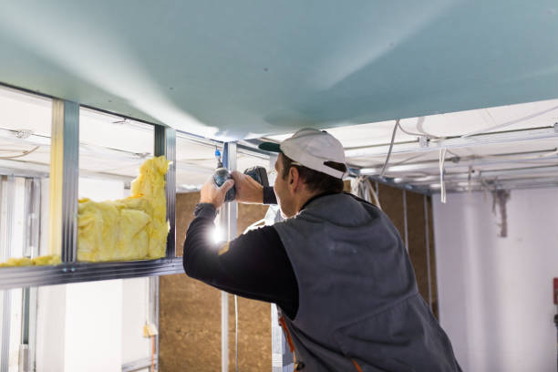 Best Best Insulation Companies  in Northlake, TX