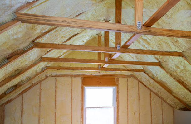 Best Insulation Inspection Services  in Northlake, TX